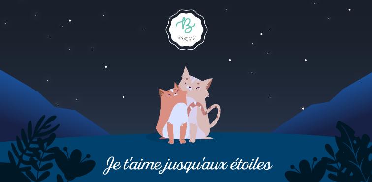 Visuels Librachèque - Librachèque - photo 3